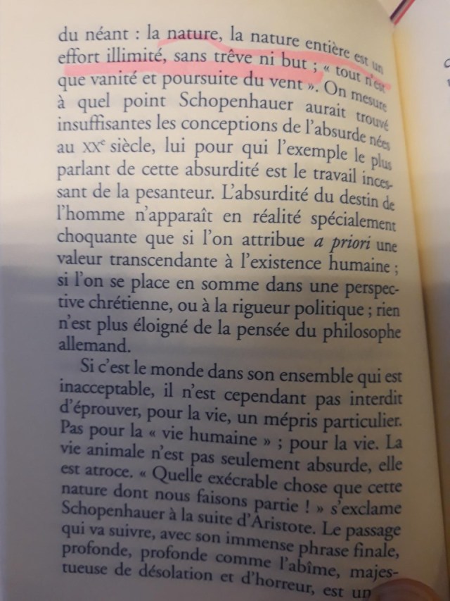 HOuelleSchop20181120_1