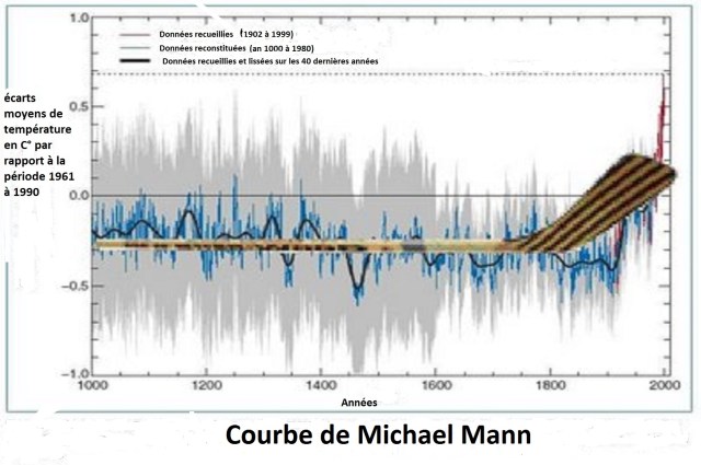 courbe de michael man