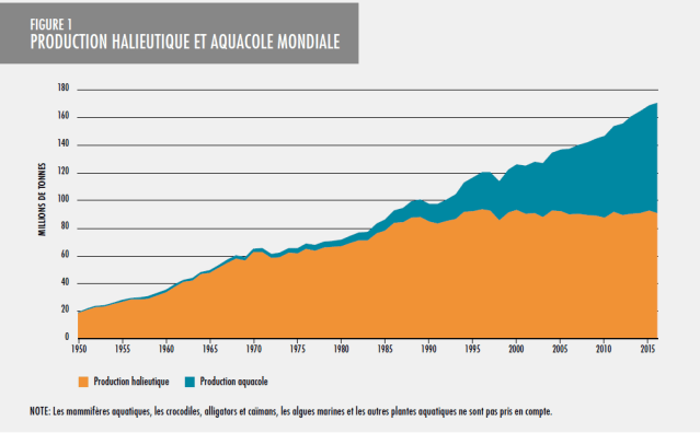 Production_halieutique_mondiale_2018_FAO