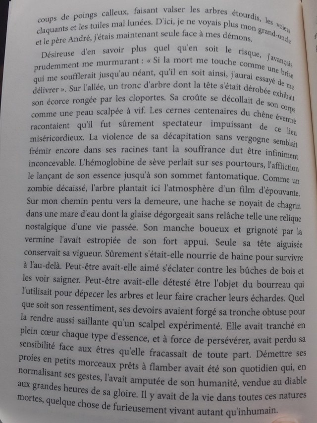 Stella_Tanagra_extrait_peau_monstre